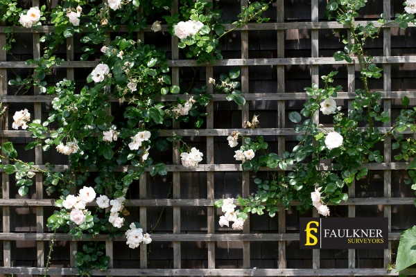 Can I put trellis on my Neighbours garage wall? 2 Do you want to adapt your neighbours garage door and add a trellis Hoddesdon? Talk to Faulkner Surveyor Hoddesdon